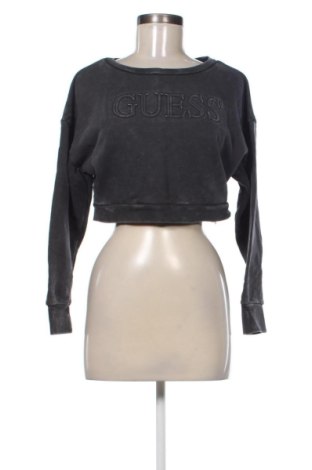 Damen Shirt Guess, Größe S, Farbe Grau, Preis 25,00 €