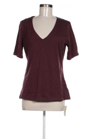 Damen Shirt Intimissimi, Größe L, Farbe Lila, Preis 15,85 €