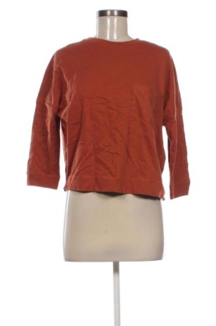 Dámska blúza Marc O'Polo, Veľkosť L, Farba Hnedá, Cena  29,95 €