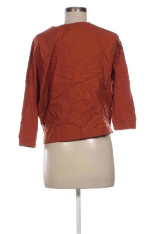 Dámska blúza Marc O'Polo, Veľkosť L, Farba Hnedá, Cena  29,95 €