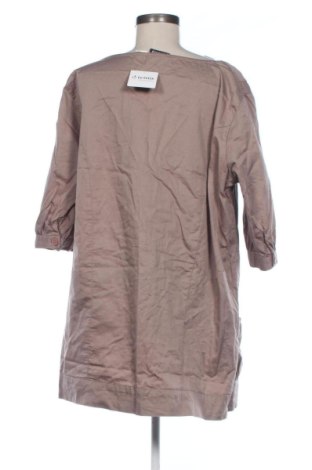 Damen Shirt Mia Linea, Größe XL, Farbe Braun, Preis € 10,00