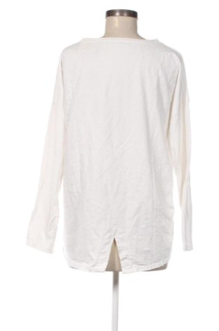 Damen Shirt New Fashion, Größe XXL, Farbe Mehrfarbig, Preis € 9,70