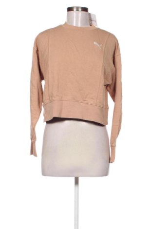 Damen Shirt PUMA, Größe XS, Farbe Braun, Preis 22,99 €