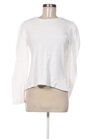 Damen Shirt Pieces, Größe L, Farbe Weiß, Preis 13,99 €