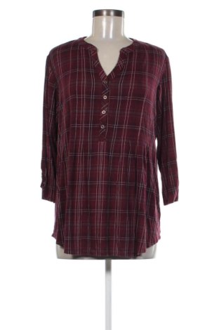 Damen Shirt Roz & Ali, Größe XL, Farbe Mehrfarbig, Preis 17,38 €