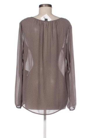 Damen Shirt S.Oliver, Größe L, Farbe Mehrfarbig, Preis € 22,99