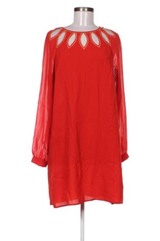 Damen Shirt Warehouse, Größe L, Farbe Orange, Preis € 17,00