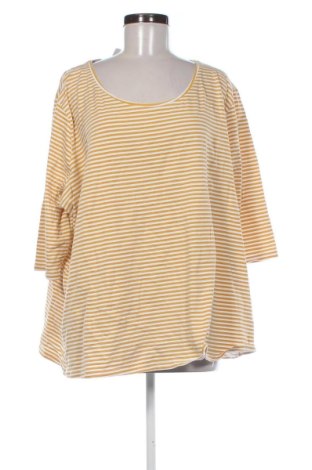 Damen Shirt Yessica, Größe 4XL, Farbe Mehrfarbig, Preis 12,99 €