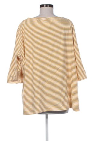 Damen Shirt Yessica, Größe 4XL, Farbe Mehrfarbig, Preis 12,99 €