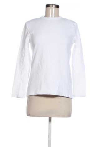 Damen Shirt Zara, Größe M, Farbe Weiß, Preis 14,00 €
