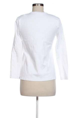 Damen Shirt Zara, Größe M, Farbe Weiß, Preis 14,00 €