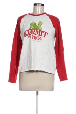 Damen Shirt Zara, Größe L, Farbe Mehrfarbig, Preis 14,00 €