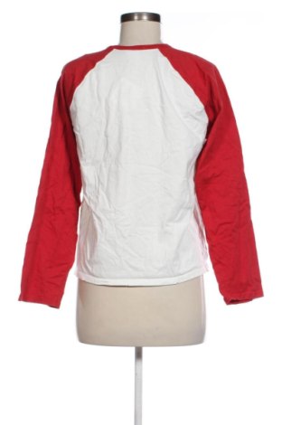 Damen Shirt Zara, Größe L, Farbe Mehrfarbig, Preis 14,00 €
