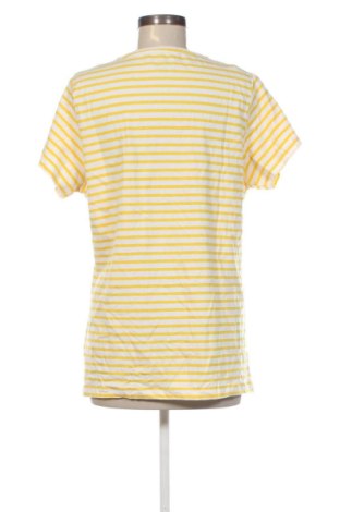 Damen Shirt Zeeman, Größe XXL, Farbe Mehrfarbig, Preis € 12,99