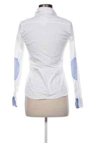 Damenbluse Aglini, Größe S, Farbe Mehrfarbig, Preis 54,99 €