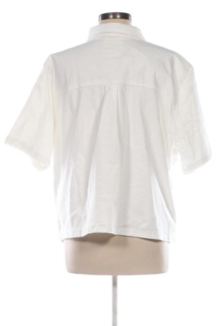 Damenbluse Bpc Bonprix Collection, Größe XL, Farbe Weiß, Preis 12,78 €