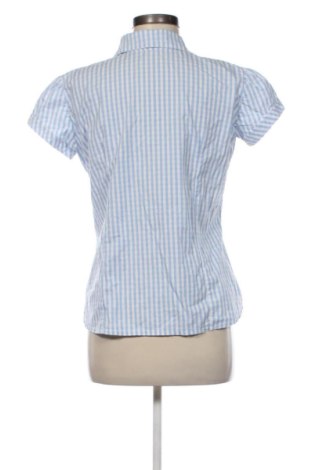 Damenbluse Envy, Größe XL, Farbe Mehrfarbig, Preis 12,78 €