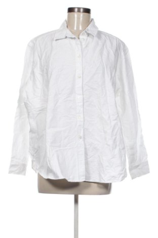 Damenbluse H&M, Größe L, Farbe Weiß, Preis 16,99 €