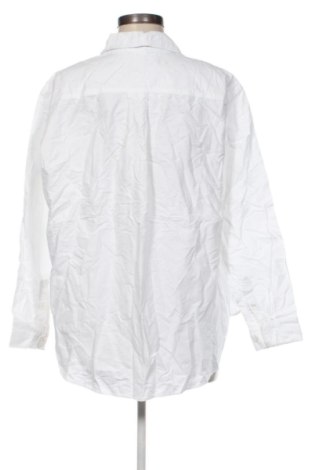 Damenbluse H&M, Größe L, Farbe Weiß, Preis 16,99 €