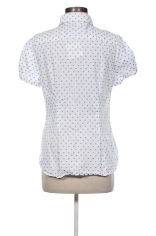 Damenbluse Hawes & Curtis, Größe M, Farbe Mehrfarbig, Preis 12,85 €