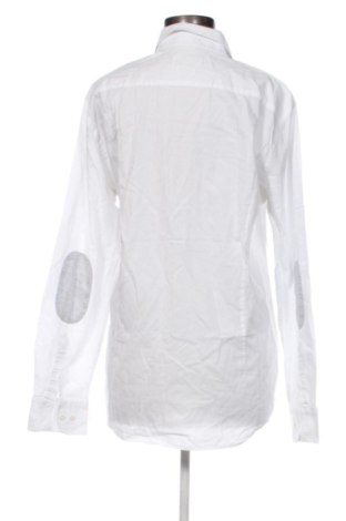 Damenbluse Massimo Dutti, Größe L, Farbe Weiß, Preis 28,20 €