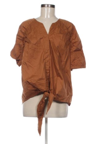 Damenbluse Pure, Größe XL, Farbe Braun, Preis € 16,99