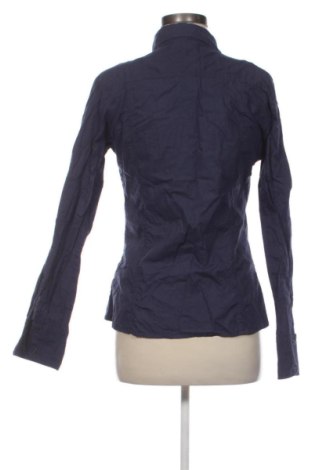 Damenbluse Terranova, Größe L, Farbe Blau, Preis 13,00 €