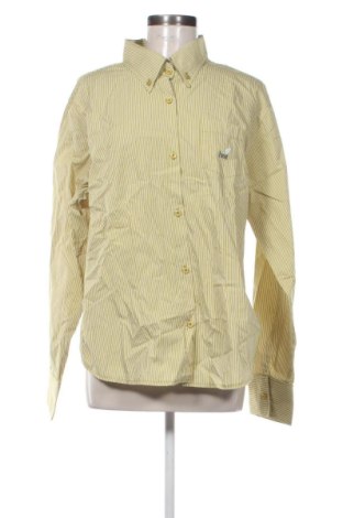 Cămașă de femei Unbranded, Mărime XXL, Culoare Multicolor, Preț 67,00 Lei