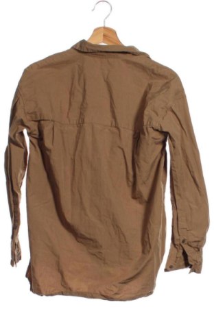 Damenbluse Uniqlo, Größe XS, Farbe Braun, Preis 21,00 €