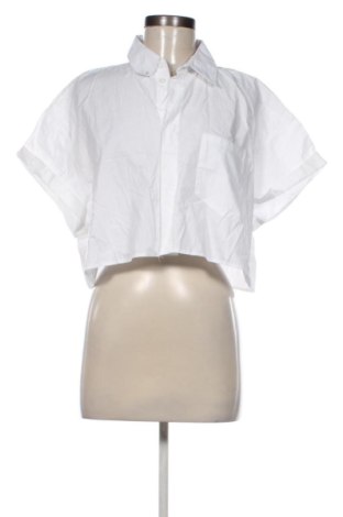 Damenbluse Zara, Größe M, Farbe Weiß, Preis 17,99 €