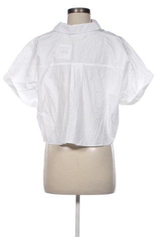 Damenbluse Zara, Größe M, Farbe Weiß, Preis 17,99 €