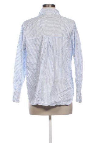 Damenbluse Zara, Größe L, Farbe Mehrfarbig, Preis 17,99 €