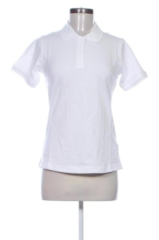 Damen T-Shirt Harvest, Größe M, Farbe Weiß, Preis € 21,99