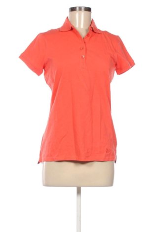Damski T-shirt Piazza Italia, Rozmiar L, Kolor Różowy, Cena 85,31 zł