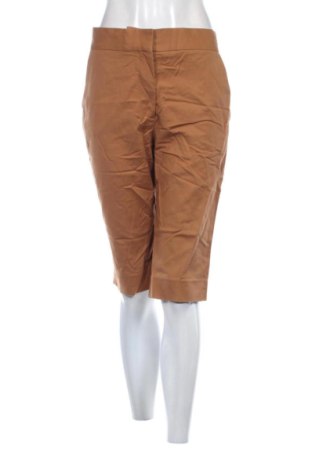 Damen Shorts COS, Größe M, Farbe Braun, Preis 28,99 €