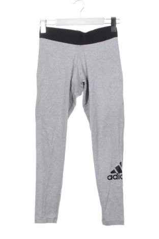 Damen Leggings Adidas, Größe XS, Farbe Grau, Preis 27,99 €