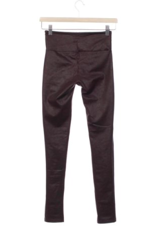 Dámske legíny  Calzedonia, Veľkosť XS, Farba Viacfarebná, Cena  14,00 €