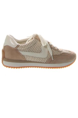 Damenschuhe Dolce Vita, Größe 39, Farbe Mehrfarbig, Preis 81,99 €, #136360820