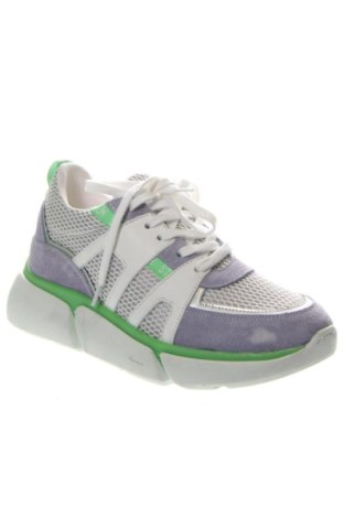 Dámske topánky  Steve Madden, Veľkosť 41, Farba Viacfarebná, Cena  124,95 €