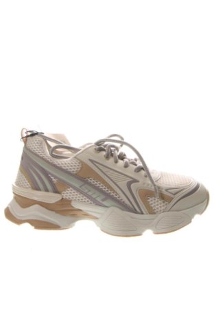 Dámské boty  Steve Madden, Velikost 41, Barva Vícebarevné, Cena  3 099,00 Kč