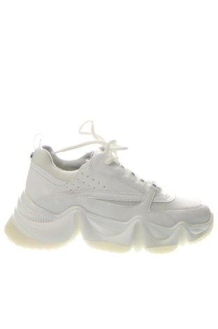 Дамски обувки Steve Madden, Размер 39, Цвят Бял, Цена 104,81 €
