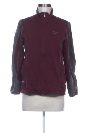 Bluză trening de femei Catamaran, Mărime L, Culoare Multicolor, Preț 88,62 Lei