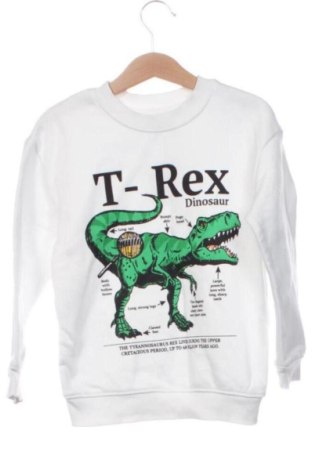 Kinder Shirt H&M, Größe 4-5y/ 110-116 cm, Farbe Mehrfarbig, Preis 5,75 €