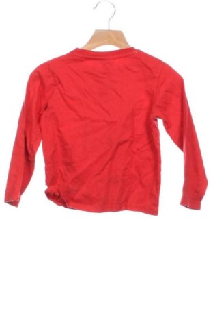 Kinder Shirt Piazza Italia, Größe 3-4y/ 104-110 cm, Farbe Rot, Preis 10,69 €