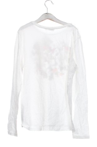 Kinder Shirt Terranova, Größe 13-14y/ 164-168 cm, Farbe Weiß, Preis 6,00 €