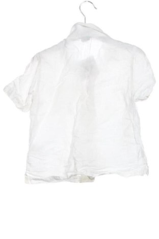 Dziecięca koszula Next, Rozmiar 18-24m/ 86-98 cm, Kolor Biały, Cena 62,70 zł