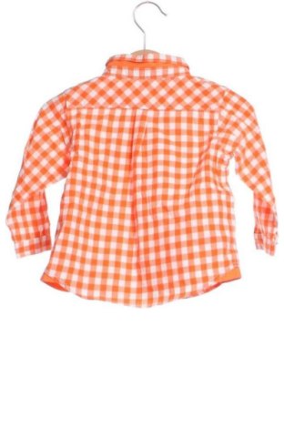 Παιδικό πουκάμισο Petit Bateau, Μέγεθος 12-18m/ 80-86 εκ., Χρώμα Πολύχρωμο, Τιμή 16,99 €