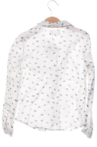 Kinderhemd Primark, Größe 6-7y/ 122-128 cm, Farbe Mehrfarbig, Preis 6,00 €