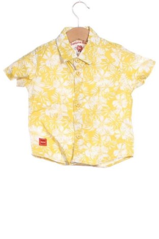 Kinderhemd Unbranded, Größe 6-9m/ 68-74 cm, Farbe Mehrfarbig, Preis 6,00 €