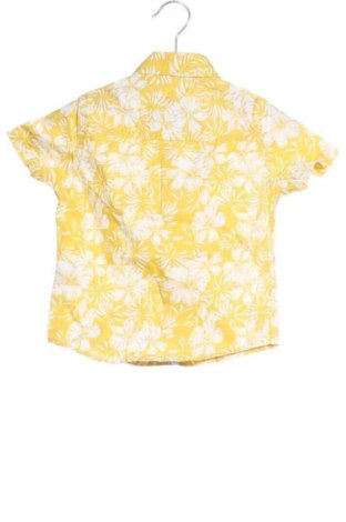 Kinderhemd Unbranded, Größe 6-9m/ 68-74 cm, Farbe Mehrfarbig, Preis 6,00 €